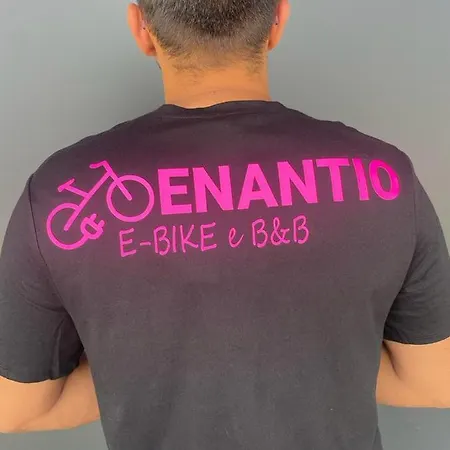 Enantio Lejlighed *